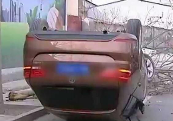 大众轿车撞断梧桐树后翻车 事发济南清河北路菜园桥附近