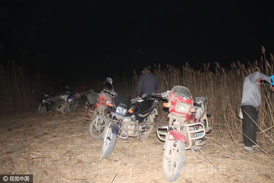 山东滨州村民深夜河滩捉蟹 十元一斤供不应求