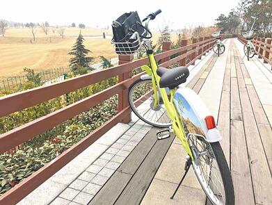 共享自行车租赁模式现身青岛 “小绿车”1小时内免费