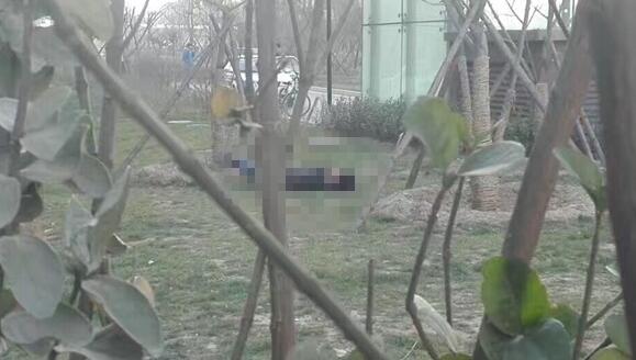 济南泺安路滨河国际小区青年坠楼身亡 死因正在调查