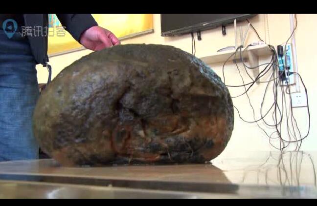 惊呆！临沂男子河中捞出21斤肉团 疑似太岁！ 