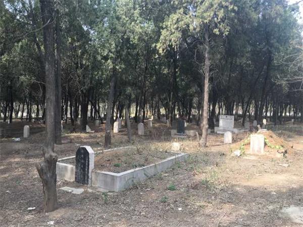 金牛公墓无人维护 墓碑断裂杂草丛生