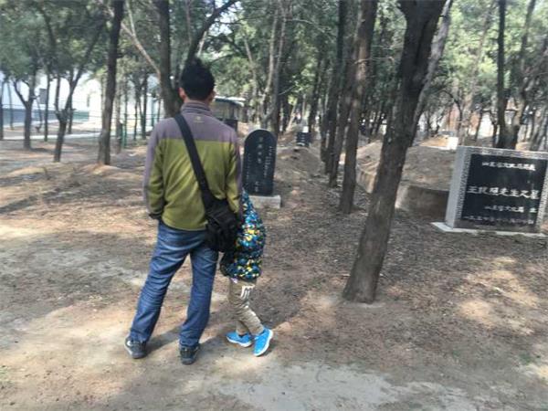 金牛公墓无人维护 墓碑断裂杂草丛生