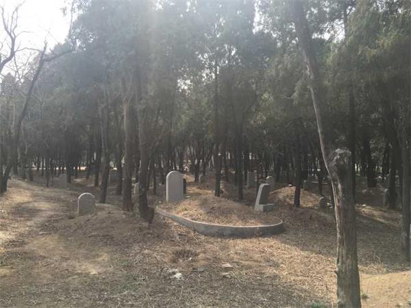 金牛公墓无人维护 墓碑断裂杂草丛生