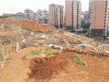 荆山东坡之乱何时休？ 乱丢垃圾乱垦菜地乱围山体