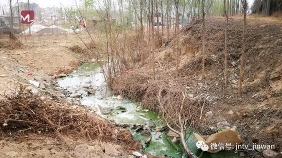污水横流 怪味刺鼻！济南大桥镇一村庄泄洪沟变污水沟 