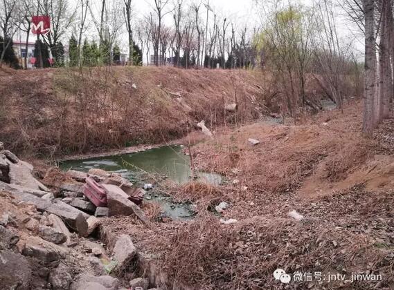 污水横流 怪味刺鼻！济南大桥镇一村庄泄洪沟变污水沟 
