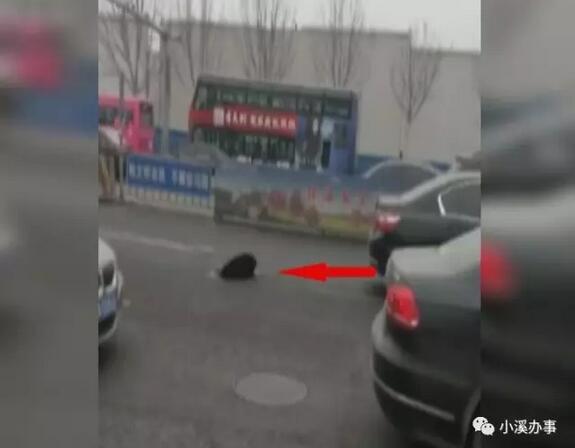 马路中间井盖弹起 菏泽一司机在济南遭遇惊魂一幕！