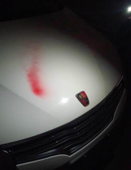 振兴花园小区车库内一夜50多辆车遭“黑手” 警方已介入调查  