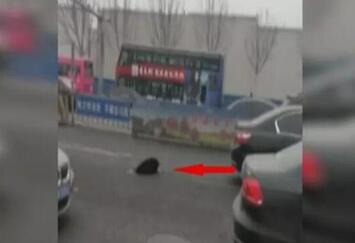 井盖惊魂!投诉扎堆!市政公用局市民喊你呢