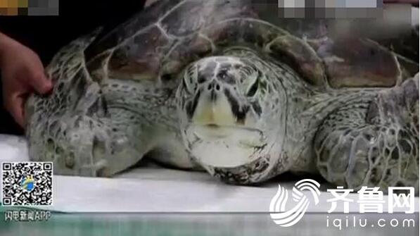 漱玉泉半小时被扔进百枚硬币 提醒：游园请勿投币入清池