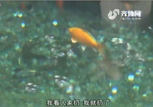 漱玉泉半小时被扔进百枚硬币 提醒：游园请勿投币入清池