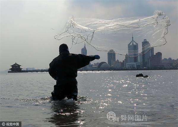 青岛栈桥一带出现大量梭鱼 众多市民前来网鱼