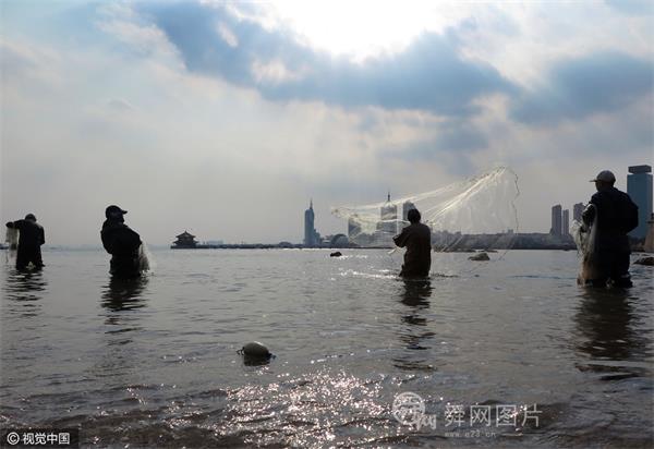 青岛栈桥一带出现大量梭鱼 众多市民前来网鱼