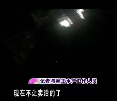 济南四里村海鲜大市场被曝出售活河豚 采购员称可以协调买到