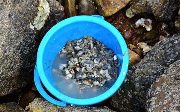 �ֻ���!ǰ��һ�ߺ������ս����� �ൺ�������ѸϺ�