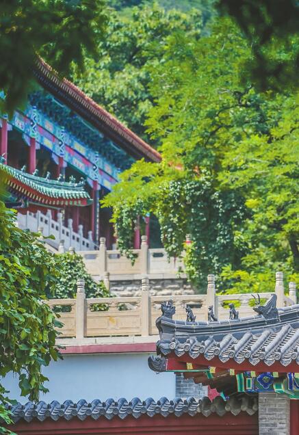 市园林局深度解读“千佛山国家级风景名胜区” 正申报5A