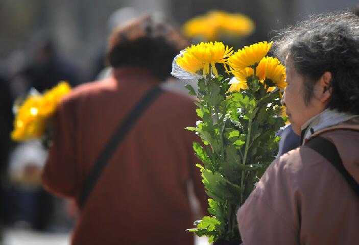 清明小长假首日 济南玉函山公墓迎来祭祀高峰 