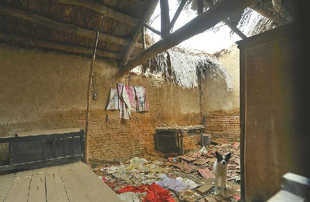 探访住窝棚的老两口 网红视频的背后是农村养老的无助!