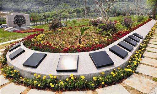 山东传统墓地几近饱和 树葬、海葬等生态殡葬被力推