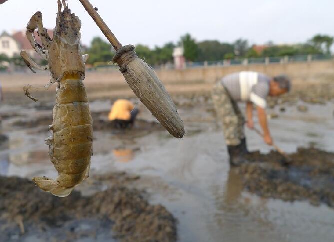 �ÿ���!�ൺ����ɳ̲׽ƤƤϺ ��Сʱ�ϰ�ֻ