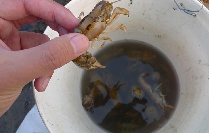 �ÿ���!�ൺ����ɳ̲׽ƤƤϺ ��Сʱ�ϰ�ֻ