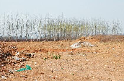 仁里村内建筑垃圾堆成“渣土地块” 扬尘随风起舞