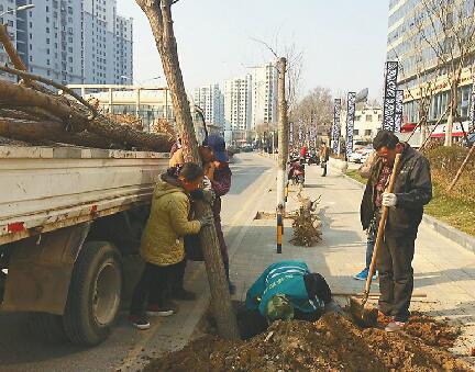 天桥区消灭绿地内裸地 打通西泺河路等断头路