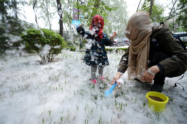 济南：杨絮爆发如同春雪 游人蒙面“踏雪”春游(组图)