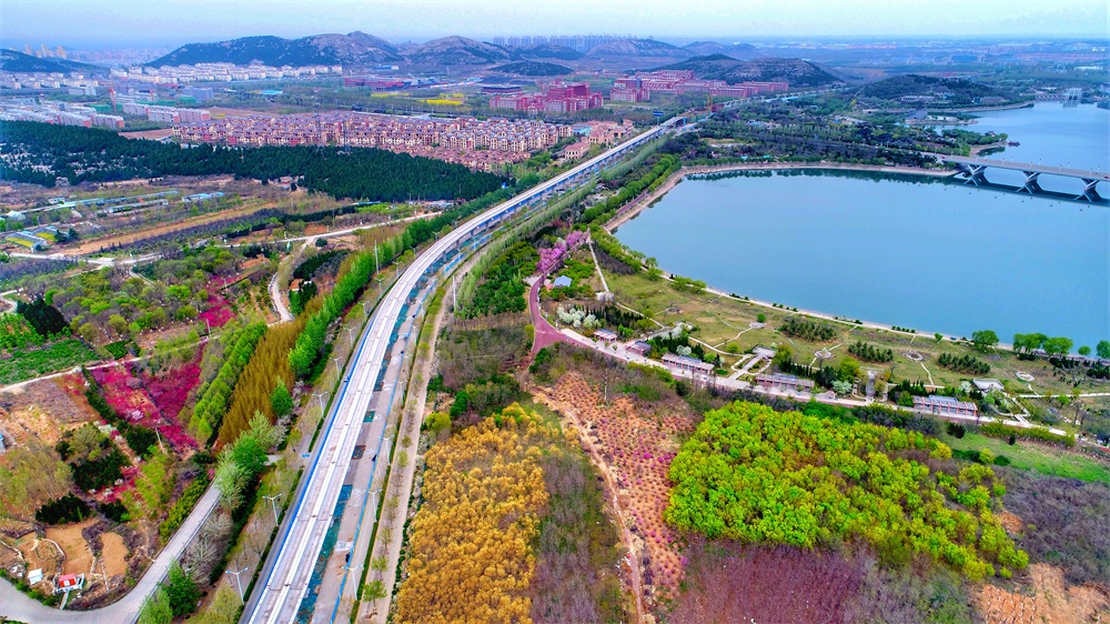 穿越春天的高空“地铁” 济南地铁R1线在春天的画卷中穿行