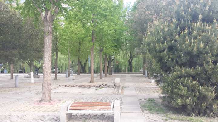 “新动作”不断 泉城广场综合整治持续进行