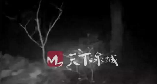 俩青岛游客被困千佛山 服用过安眠药疑似相约来济轻生