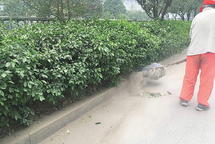 大面积土堆裸露脏乱差影响市容 这些地儿的扬尘该管管了