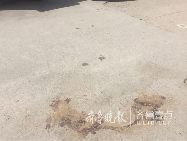 深夜济南街头4人起纠纷 一男子持刀捅人致一死一伤