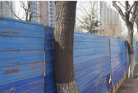 鲁能领秀城 说好的公园绿地咋变成收费球场？