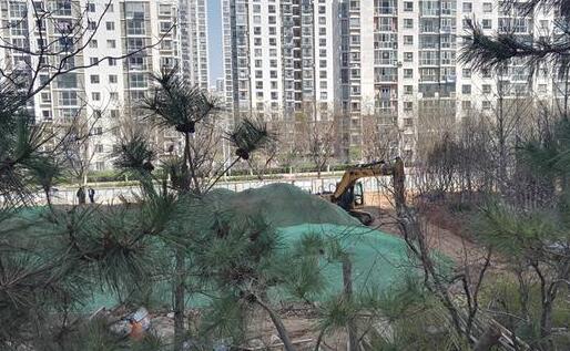 鲁能领秀城 说好的公园绿地咋变成收费球场？