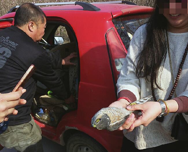 黑市上超七成鸟陷恶性循环 为放生而买鸟不是“功德”是违法