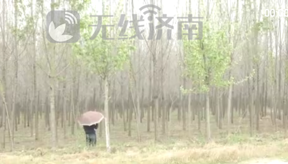 ����������ռ����ϻƺӱ�ǧ������ ��ľ��ͺֻʣ��������