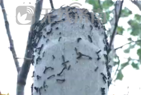 ����������ռ����ϻƺӱ�ǧ������ ��ľ��ͺֻʣ��������