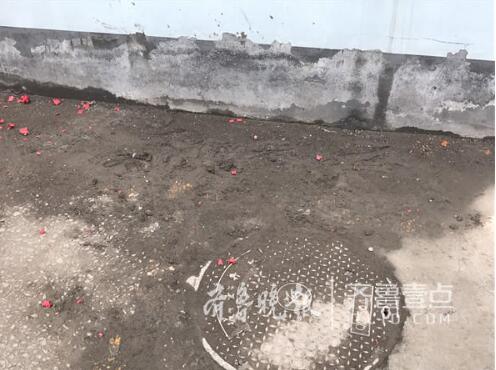 Ů���賿ҽԺ��׹¥�������ƻ��߼��� �·�����ѪҺ��ҽԺ