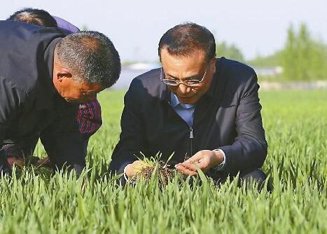 李克强总理来济南考察 下麦田探墒情进车间话产能