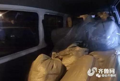 ɽ���������һ�γ��ڲ�300ֻ����̥�� ˾���ѳ�Ϊ�β�