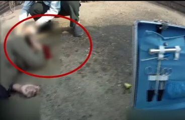 济南一看棋老人锤击下棋男子头部 事后称控制不住自己