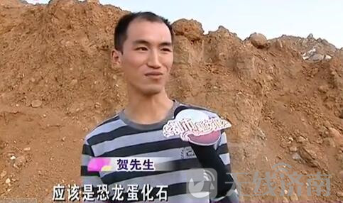 济南一工地疑发现大量恐龙蛋化石！敲开能看到蛋清蛋黄