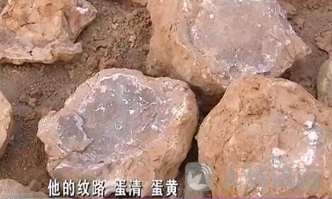 济南一工地疑发现大量恐龙蛋化石！敲开能看到蛋清蛋黄