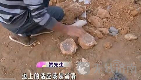 济南一工地疑发现大量恐龙蛋化石！敲开能看到蛋清蛋黄