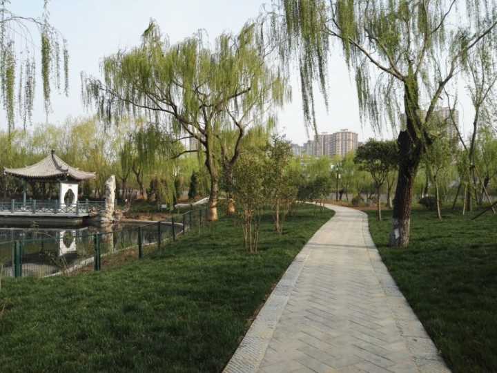 组图：绿头鸭斑头雁！济南动物园金牛湖新区五一开放