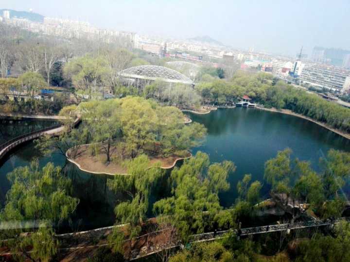 组图：绿头鸭斑头雁！济南动物园金牛湖新区五一开放