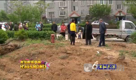 济南东方圣景小区大面积绿地遭破坏 业主称物业要建停车位