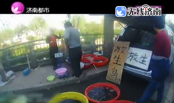 济南一摊贩售卖国家二级保护动物猫头鹰 竟自称“做善事”